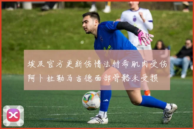 埃及官方更新伤情法特希肌肉受伤阿卜杜勒马吉德面部骨骼未受损